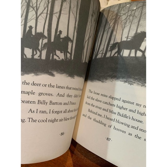 Lot of 6 Horse Books for young adult reader - Picture 11 of 14